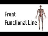 Front Functional Line - Myofascial Meridians - Kinesiology Quiz