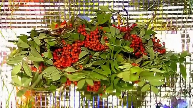 Красная рябина для чистки сосудов головного мозга.