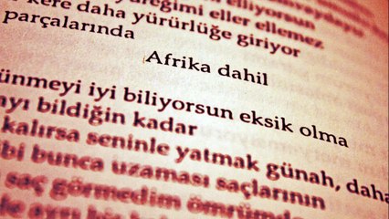 Üvercinka - Cemal Süreya (Ali Can Erözgün sesi ile)