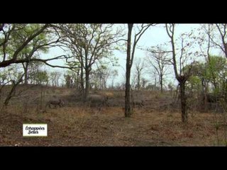 Zambie, un pays, un fleuve, des traditions - Echappées belles