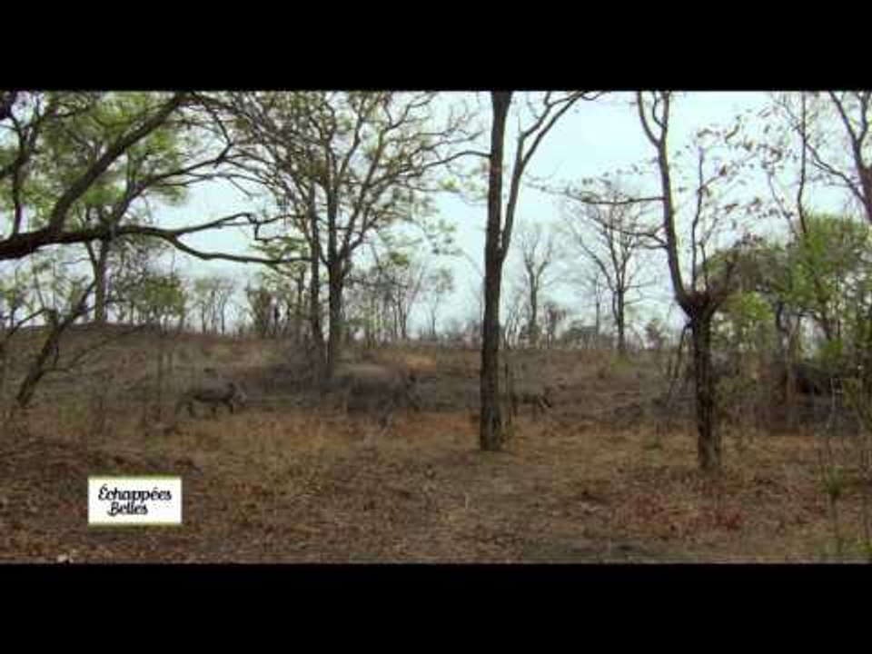 Zambie, un pays, un fleuve, des traditions - Echappées belles