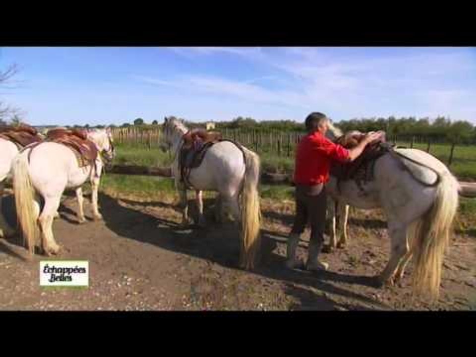Languedoc-Roussillon - Echappées belles