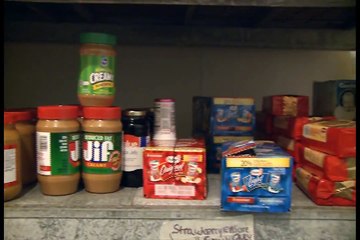 Gift of Grub   Zoo Cheetahs Run at Sam Houston Race Park!