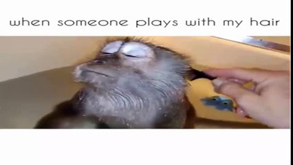 Yes indeed there are many children love new cool - Lovely too have told its