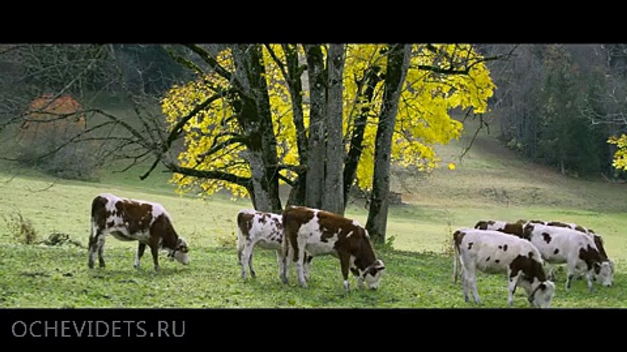 Фрирайд-2