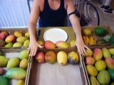 Amazing South Florida Mangoes! My Favorites Truly Tropical & Tropical Acres Farms