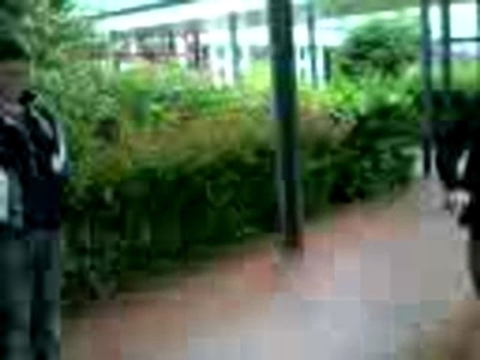 Le chinois ki se mange une gamelle