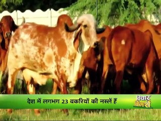 Vichar Vimash | विचार विमर्श एपिसोड - 2