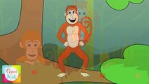The Finger Family (Monkeys Family) Nursery Rhyme | Kids Animation Songs For Children