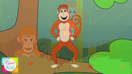 The Finger Family (Monkeys Family) Nursery Rhyme | Kids Animation Songs For Children