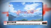 Red Star OS: German researchers delve into N. Korea's homegrown computer operating system