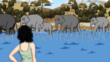 Taylor Swift - Wildest Dreams