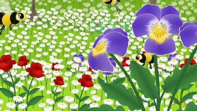 Küçük Kurbağa | Bebek Şarkıları | Çocuk Şarkıları | Edis ile Feris