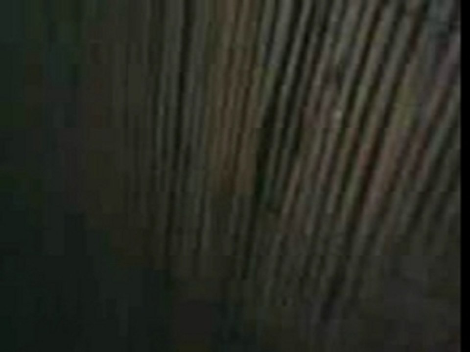 ca pet net 2
