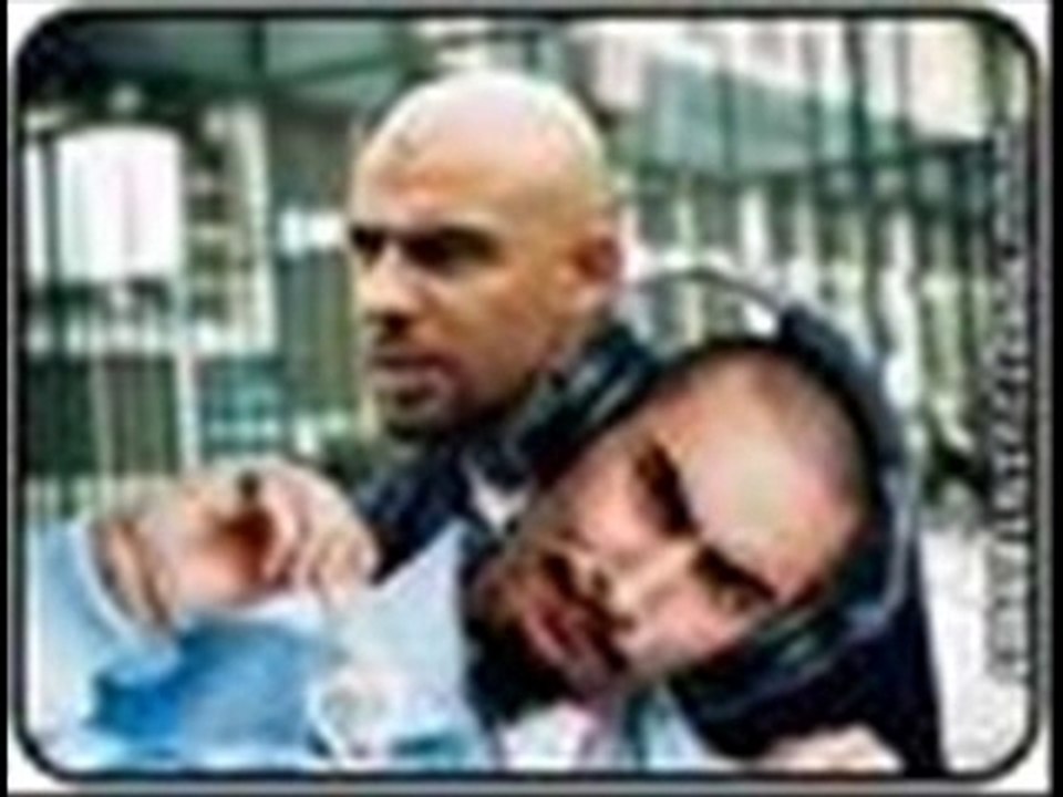 La fouine insulte kamelancien