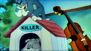 Tom and Jerry Cartoon  -Tom and Jerry classic- collection of best episode