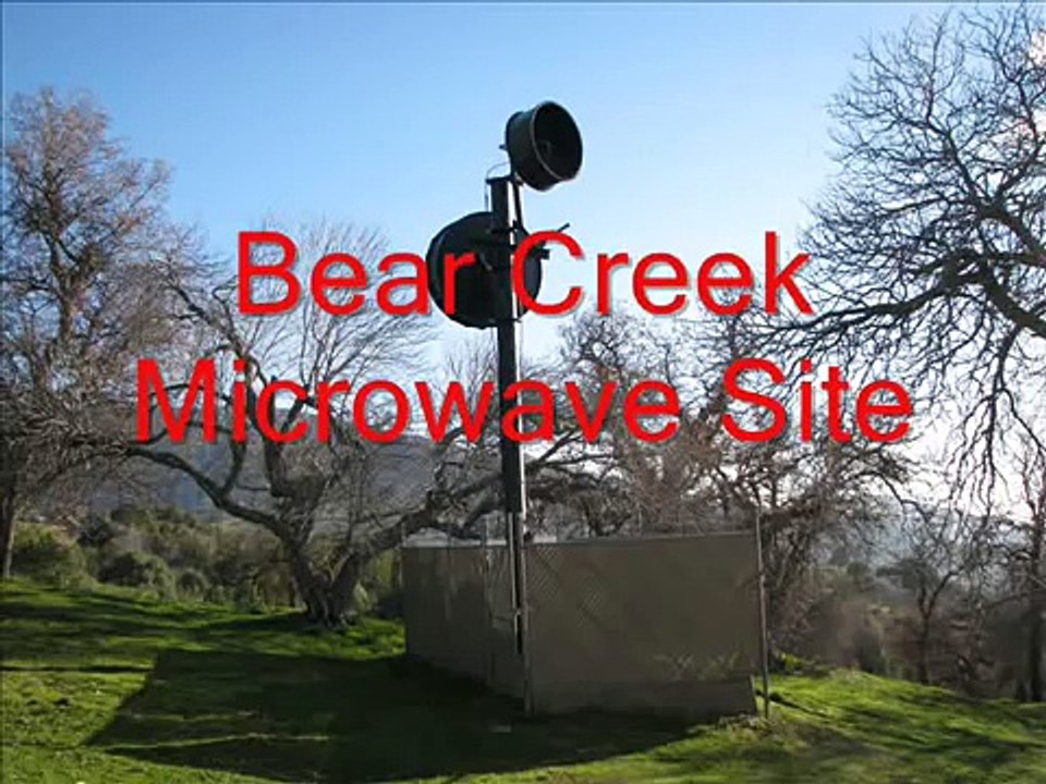 Look How Many Acorns Woodpeckers Stored in this Antenna