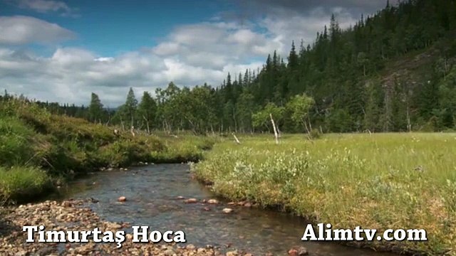 Müslüman mısın sorusuna cevap - Timurtaş Hoca