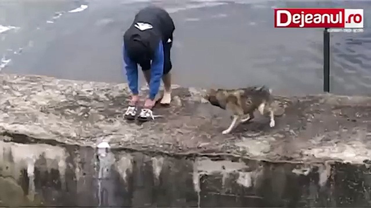 Dog is obviously excited after being rescued