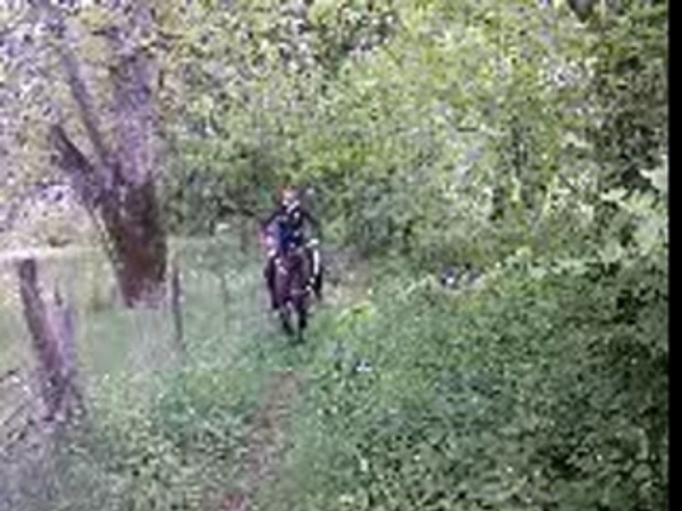 The galop a cru