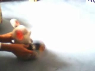 Fight by DK and Yoshi