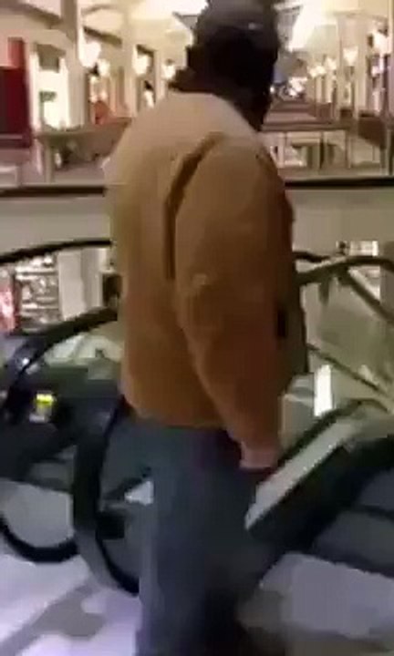 Top Funny Video
