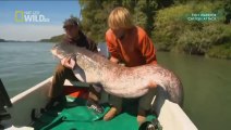 Fish Warrior: Catfish Attack (National Geographic Fishing Documentary)