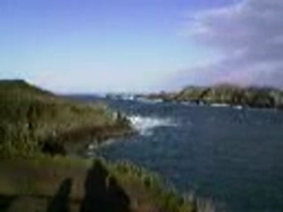 Vidéo008
