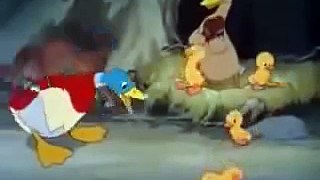 Tom And Jerry Cartoon The Ugly Duckling