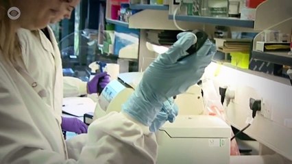 The Mysterious Death Of Princess Diana?