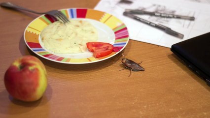 Курс ОМ — Александр Михайлов, Алёна Большедворская — «Синопсис»