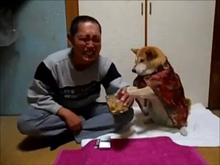 You need a dog if you are an alcoholic