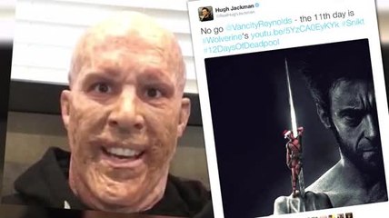 Twitter-Streit: Hugh Jackman vs Ryan Reynolds