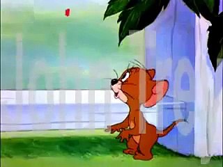 توم و جيري 1946 ربيع توماس الجزء 29