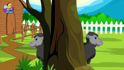 Baa Baa Black Sheep Finger Family Nursery Rhyme | Finger Family Songs | Baa Baa Black shee