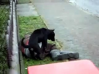 Yıllarca Dost Bildik Köpekleri