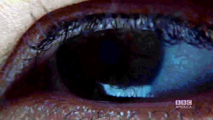 Teaser Orphan Black 4