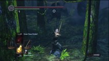 The Dumbshits Guide To Dark Souls Darkroot Garden Basin Video
