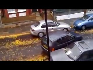 Женщины за рулем | Самое смешное видео