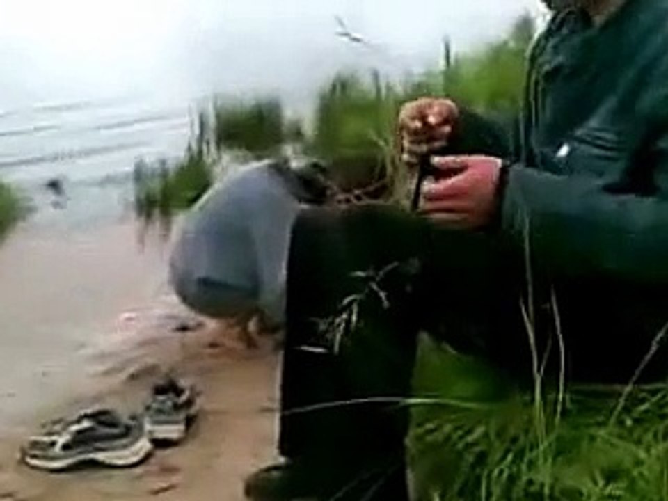 Богдан рыбак ютуб