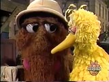 Classic Sesame Street Big Bird and Snuffy Explore the Street