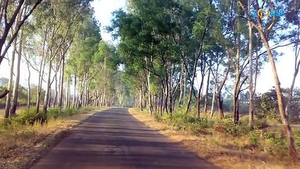 ‪Amazing Nature‬  ‪Beautiful Pictures of Nature  Relaxing Music‬  Lullabies