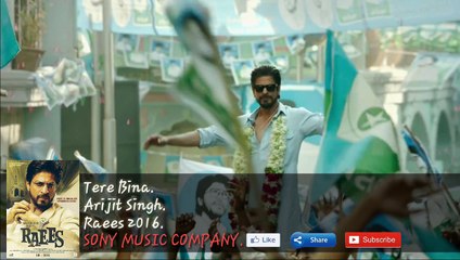 Tere Bina(OFFICIAL) | Arijit Singh | Raees 2016 | Shahrukh Khan