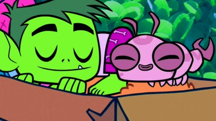 Beast Boy s Dream - Teen Titans Go!