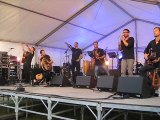 Rétro 2015 avec Music O Teich (07). Doolin' groupe international de musique irlandaise