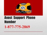 Avast  Support  Phone Number 1-877-775-2869