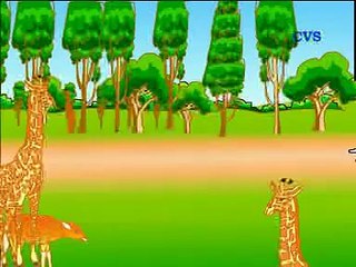 Panchatantra Hindi Animation Stories Rabbit and Totoise खरगोश और कछुआ