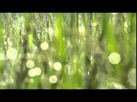 Thanayaril.. Kester non stop | Christian Devotional Songs | Jino Kunnumpurath | Zion Classics |