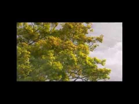 Orikkal Ruchichaal | Hits of Kester non Stop | Christian Devotional Songs | Jino | Zion Classics