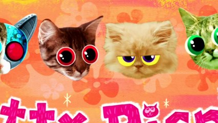 Starfire s Dream - Teen Titans Go!